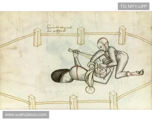 赛法斗：踢击独尊的优雅格斗艺术(2)