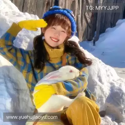 晏楚凌